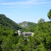 abbaye sénanque gordes provence vaucluse