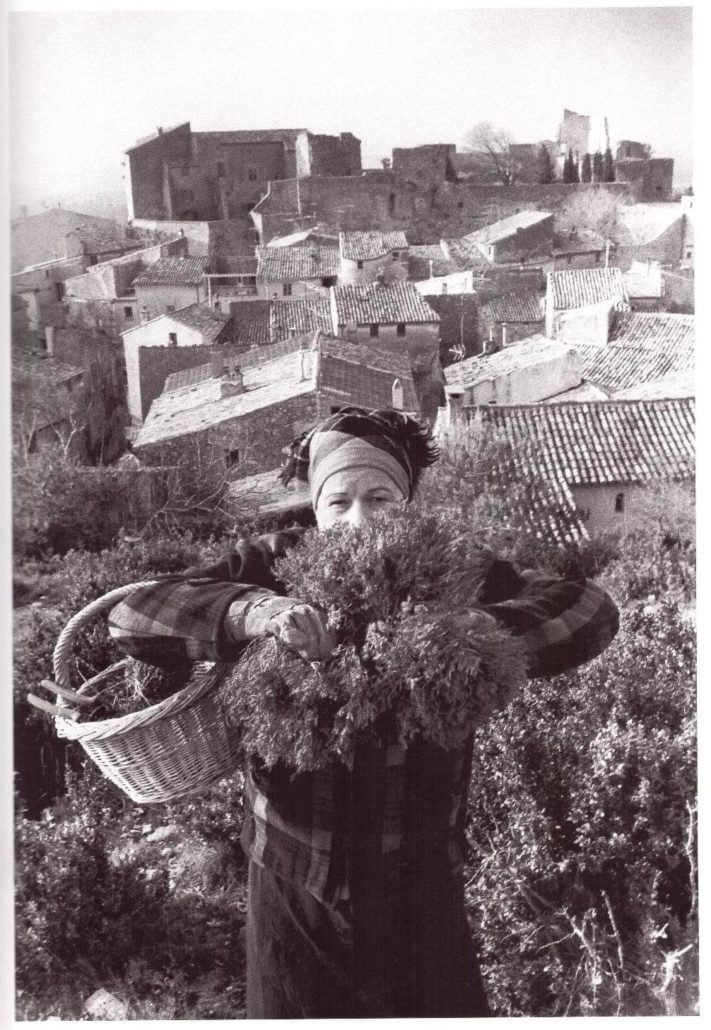 gordes willy ronis photographe photographie artiste visite guidée vaucluse provence